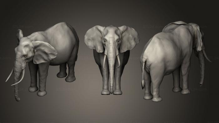 Animal figurines (African elephant 2, STKJ_0144) 3D models for cnc
